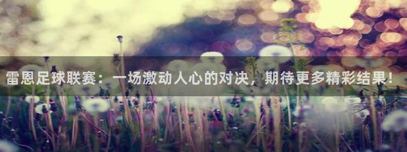  雷恩足球联赛：一场激动人心的对决，期待更多精彩结果！