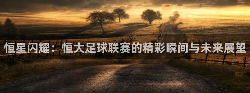  恒星闪耀：恒大足球联赛的精彩瞬间与未来展望