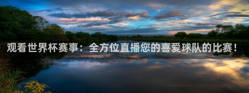  观看世界杯赛事：全方位直播您的喜爱球队的比赛！