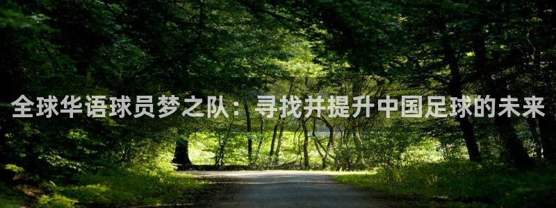  全球华语球员梦之队：寻找并提升中国足球的未来