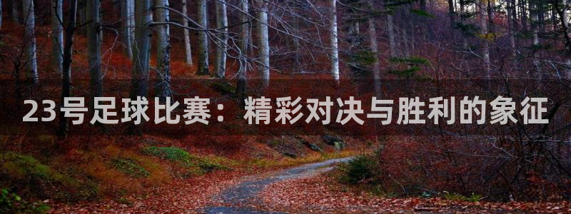  23号足球比赛：精彩对决与胜利的象征