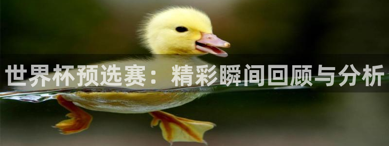  世界杯预选赛：精彩瞬间回顾与分析