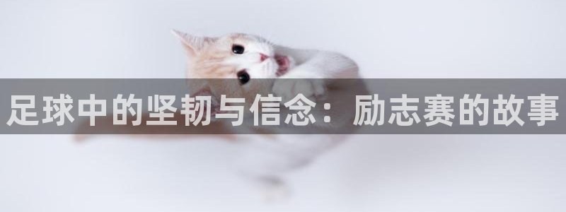 足球中的坚韧与信念：励志赛的故事