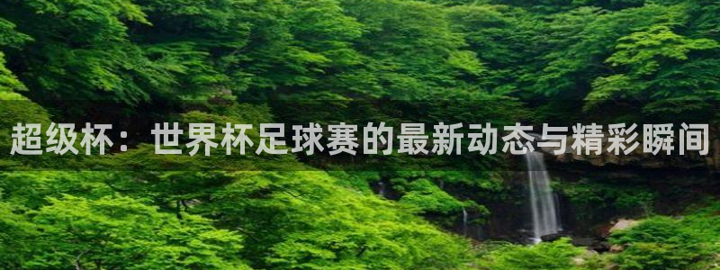 超级杯：世界杯足球赛的最新动态与精彩瞬间