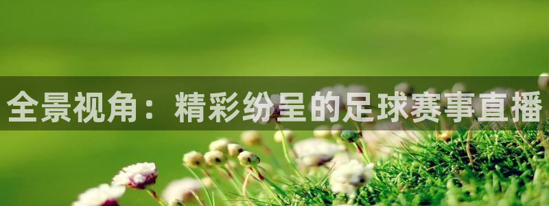 全景视角：精彩纷呈的足球赛事直播