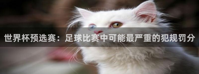  世界杯预选赛：足球比赛中可能最严重的犯规罚分