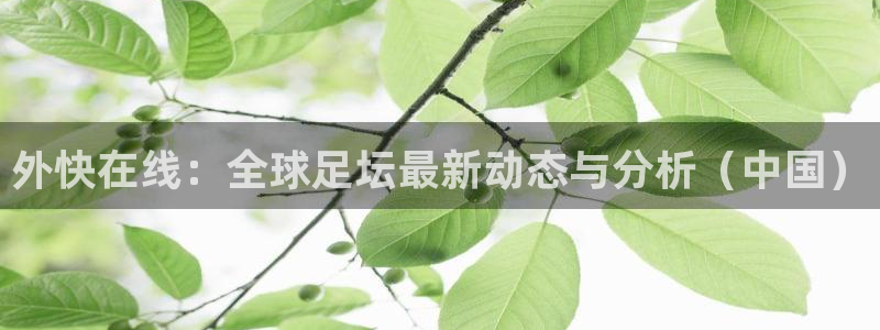 外快在线：全球足坛最新动态与分析（中国）