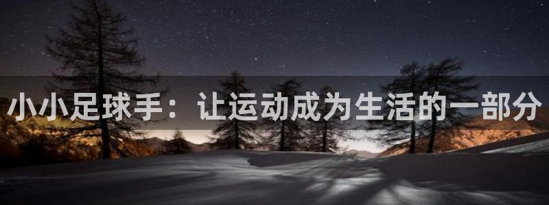 小小足球手：让运动成为生活的一部分