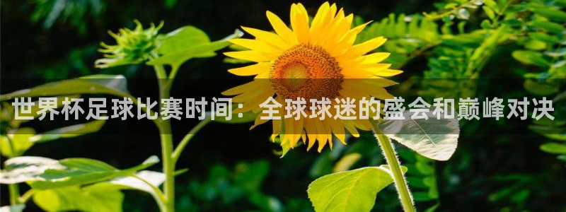  世界杯足球比赛时间：全球球迷的盛会和巅峰对决