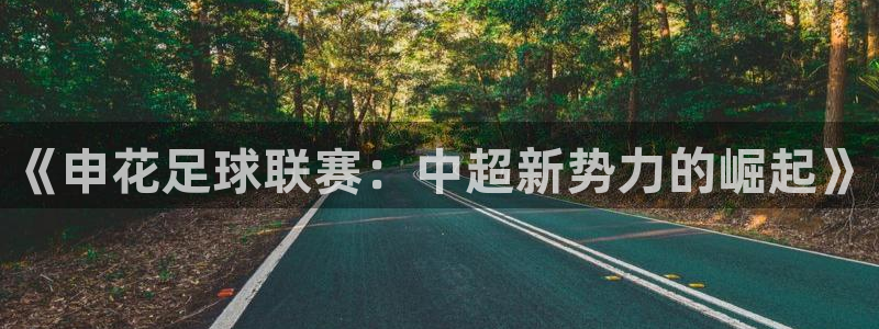  《申花足球联赛：中超新势力的崛起》