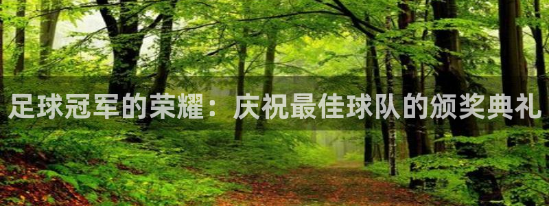  足球冠军的荣耀：庆祝最佳球队的颁奖典礼