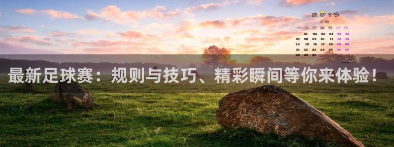 最新足球赛：规则与技巧、精彩瞬间等你来体验！