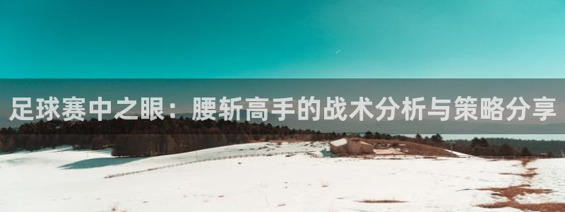  足球赛中之眼：腰斩高手的战术分析与策略分享