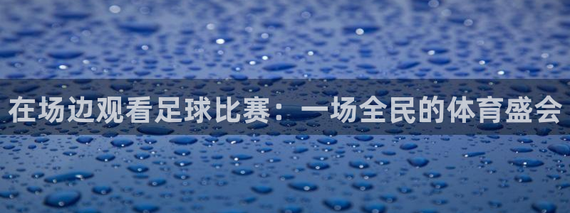 在场边观看足球比赛：一场全民的体育盛会