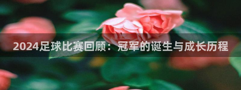 2024足球比赛回顾：冠军的诞生与成长历程