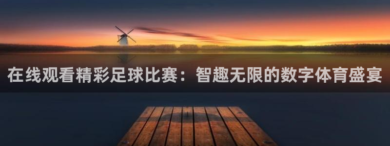 在线观看精彩足球比赛：智趣无限的数字体育盛宴