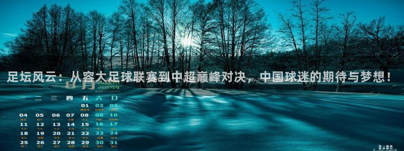 足坛风云：从容大足球联赛到中超巅峰对决，中国球迷的期待与梦想