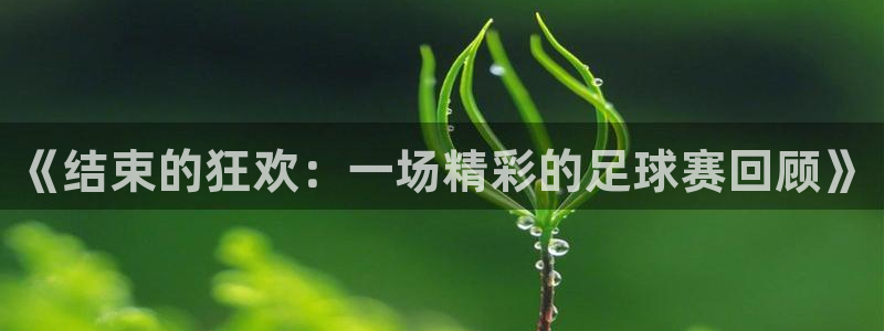  《结束的狂欢：一场精彩的足球赛回顾》