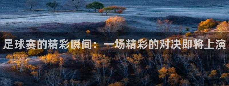 足球赛的精彩瞬间：一场精彩的对决即将上演