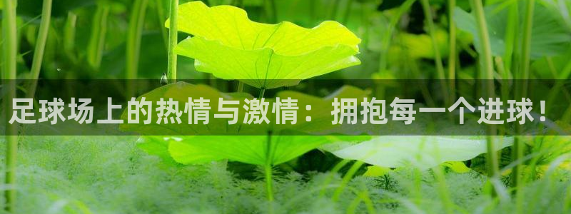  足球场上的热情与激情：拥抱每一个进球！