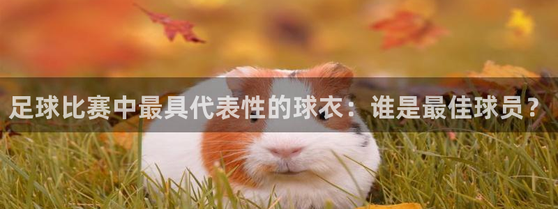 足球比赛中最具代表性的球衣：谁是最佳