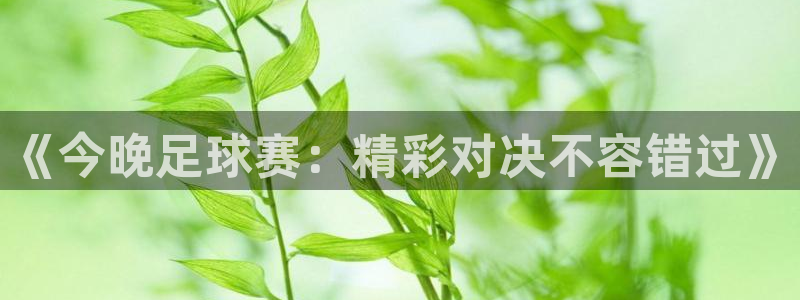 《今晚足球赛：精彩对决不容错过》