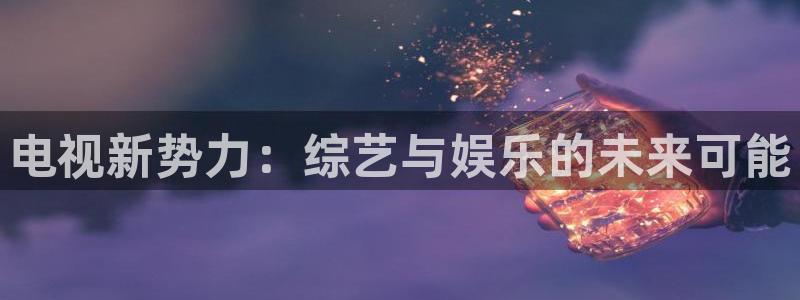 球帝833直播：电视新势力：综艺与娱乐的未来可能