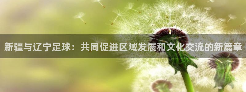 新疆与辽宁足球：共同促进区域发展和文