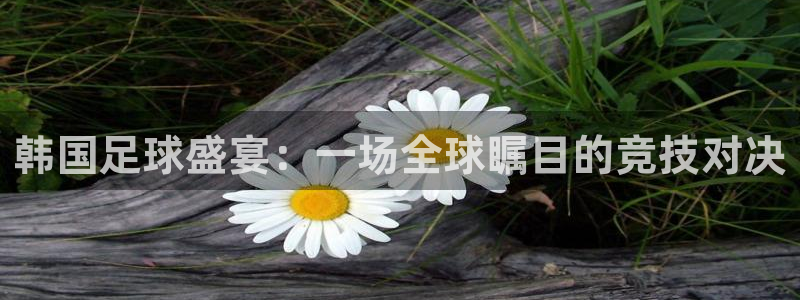 韩国足球盛宴：一场全球瞩目的竞技对决
