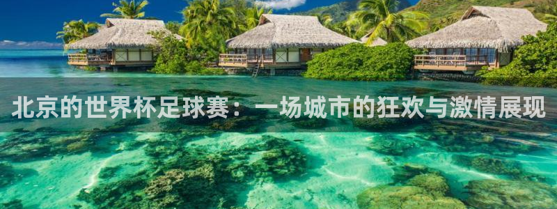 北京的世界杯足球赛：一场城市的狂欢与