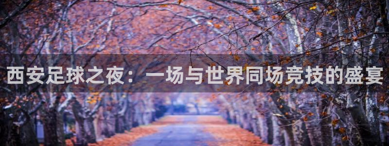 西安足球之夜：一场与世界同场竞技的盛