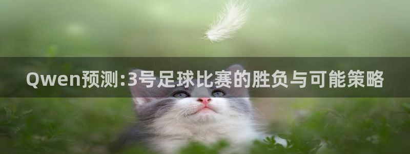 Qwen预测:3号足球比赛的胜负与可