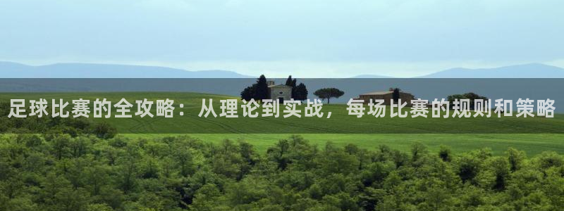 足球比赛的全攻略：从理论到实战，每场