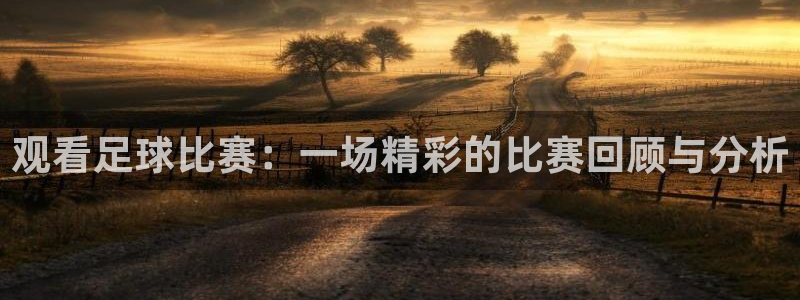 观看足球比赛：一场精彩的比赛回顾与分