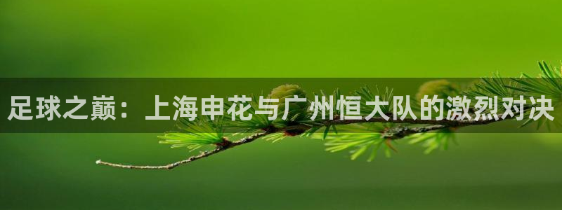 足球之巅：上海申花与广州恒大队的激烈