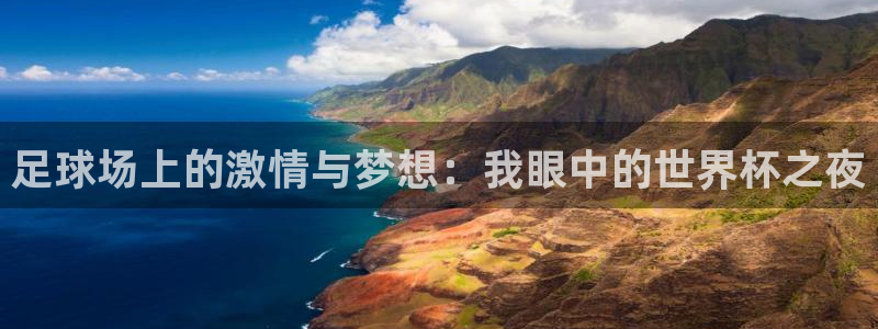 足球场上的激情与梦想：我眼中的世界杯