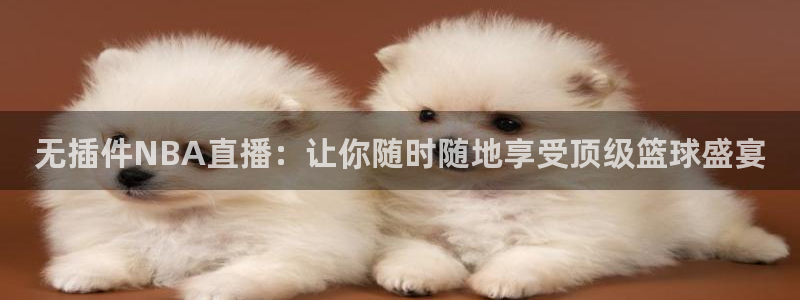 833体育直播