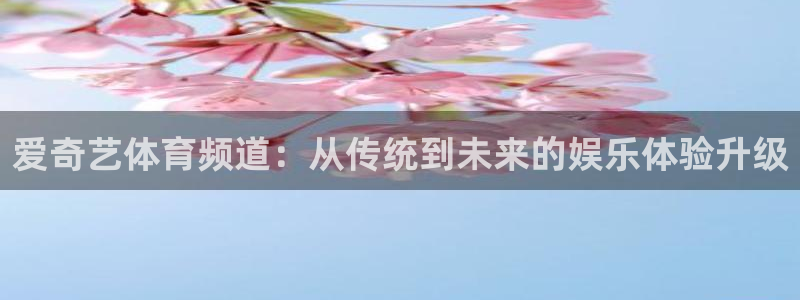 833足球比赛直播免费观看