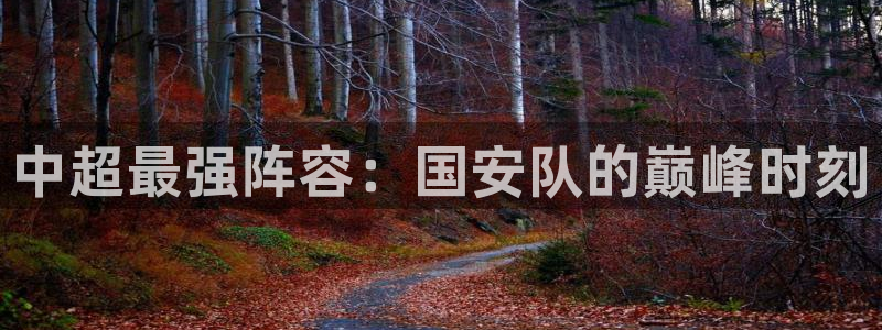 833直播足球比赛在线观看：中超最强阵容：国安队的巅峰时刻