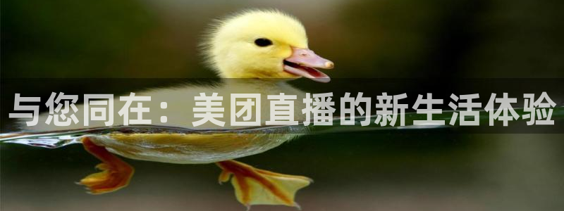 833足球直播免费直播：与您同在：美团直播的新生活体验