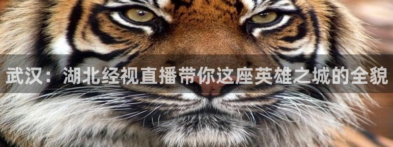 833直播足球比赛在线观看下载：武汉：湖北经视直播带你这座英雄之城的全貌