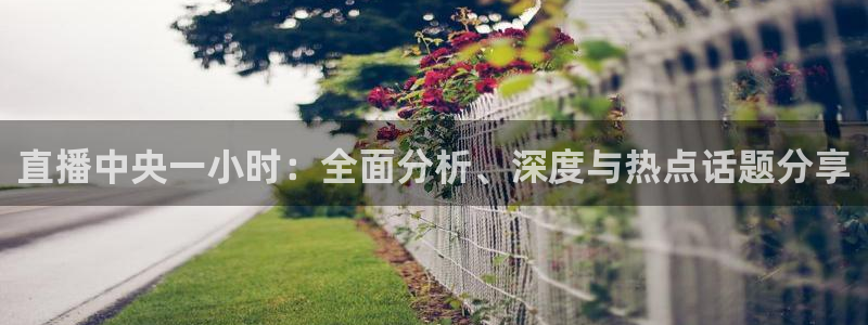 833直播足球