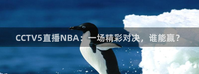 833nba直播免费高清直播：CCTV5直播NBA：一场精彩对决，谁能赢？