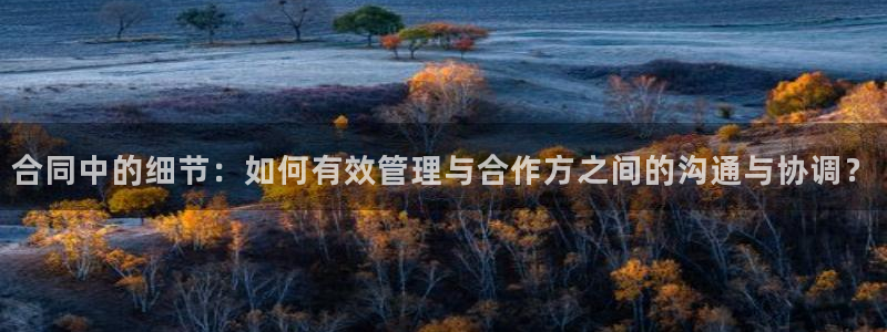 833体育免费直播：合同中的细节：如何有效管理与合作方之间的沟通与协调？