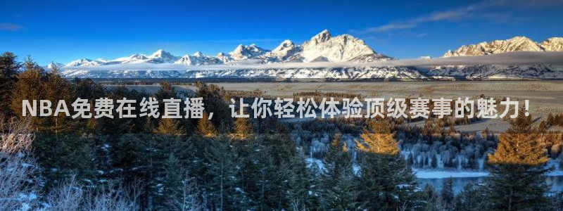 833直播足球免费观看：NBA免费在线直播，让你轻松体验顶级赛事的魅力！